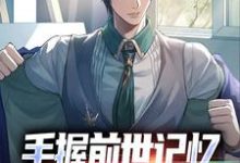 杨文手握前世记忆，我在官场杀疯了全本免费在线阅读-阳光书屋