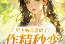 (全文)男主的前妻悟了！作精秒变粘人精许岁宁霍青山小说推荐，男主的前妻悟了！作精秒变粘人精全章小说阅读-阳光书屋