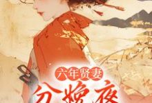 (全文)六年贤妻，分娩夜心死换和离姜玉筝沈宴沉小说推荐，六年贤妻，分娩夜心死换和离全章小说阅读-阳光书屋