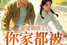(全文)婆婆别虐了！你家都被偷光了苏圆圆陆正安小说推荐，婆婆别虐了！你家都被偷光了全章小说阅读-阳光书屋