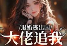 退婚逃出国,大佬追我满世界跑(江野崎楚灵兮)小说推荐退婚逃出国,大佬追我满世界跑全章小说阅读-阳光书屋