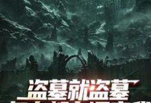 盗墓就盗墓,怎么都在调查我(吴邪白小白)全章小说阅读-阳光书屋