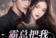 霸总把我当替身后,他真的后悔了完整版小说,霸总把我当替身后,他真的后悔了白筱帆盛延全章小说阅读-阳光书屋