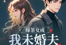 绿茶女成我未婚夫的助理后(江挽歌傅镜知)小说推荐绿茶女成我未婚夫的助理后全章小说阅读-阳光书屋