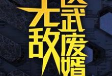 无敌医武废婿最新完结小说无敌医武废婿秦铭免费小说-阳光书屋