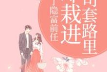 甩了隐富前任,却栽进上司套路里完整版小说甩了隐富前任,却栽进上司套路里(林昭陆景淮)全章小说阅读-阳光书屋