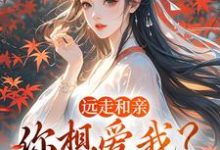 远走和亲，你想爱我？晚了热门小说排行榜远走和亲，你想爱我？晚了姜兰阮宜年免费小说全本-阳光书屋