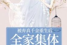 被弃真千金重生后,全家集体变舔狗温意晚裴予珩热门小说排行榜被弃真千金重生后,全家集体变舔狗免费小说-阳光书屋