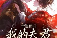 带崽而归，我的夫君是陛下云挽景宣帝完结小说推荐，带崽而归，我的夫君是陛下全章小说阅读-阳光书屋