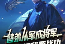 (全文)替弟从军成将军，归来问我要战功完结小说推荐叶临渊全本书籍阅读-阳光书屋