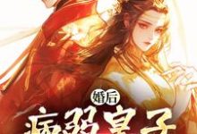 婚后，病弱皇子把我宠上天热门小说排行榜婚后，病弱皇子把我宠上天司珩云婳免费小说全本-阳光书屋