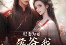 贬妻为妾，侯爷我不伺候啦（慎如余启）全本书籍阅读贬妻为妾，侯爷我不伺候啦完整版小说-阳光书屋