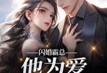 (全文)闪婚霸总,他为爱抛弃一切(苏绿柔厉墨焱)全本书籍阅读闪婚霸总,他为爱抛弃一切免费小说全本-阳光书屋