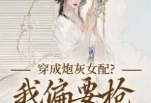 穿成炮灰女配？我偏要抢女主资源热门小说排行榜穿成炮灰女配？我偏要抢女主资源顾柠芸慕辰泽免费小说全本-阳光书屋