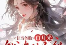 (全文)甘当备胎，白月光能有什么错热门小说排行榜，甘当备胎，白月光能有什么错沈青榕全章小说阅读-阳光书屋