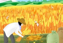 (全文)开局黑科技，我用科技限制漂亮国（江辰）免费小说开局黑科技，我用科技限制漂亮国试读更新章节-阳光书屋