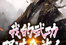 完了!我的武功强过全族人热门小说排行榜完了!我的武功强过全族人林枫免费小说全本-阳光书屋