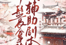 丫鬟拿稳辅助剧本完整版小说，丫鬟拿稳辅助剧本傅初霁试读更新章节-阳光书屋