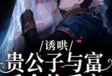诱哄：贵公子与富千金的爱恋热门小说排行榜诱哄：贵公子与富千金的爱恋沈漾免费小说全本-阳光书屋