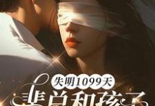 (全文)失明1099天，裴总和孩子我都不要了谢南枝全本免费在线阅读-阳光书屋