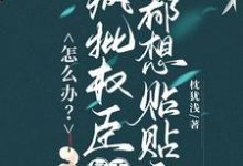怎么办？疯批权臣每天都想贴贴我推荐完结小说怎么办？疯批权臣每天都想贴贴我(顾轻舟)免费小说全本-阳光书屋