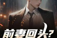 前妻回头？可惜，迟了！完整版小说，前妻回头？可惜，迟了！秦风试读更新章节-阳光书屋