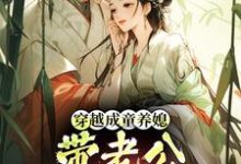 穿越成童养媳，带老公荒年发大财最新完结小说穿越成童养媳，带老公荒年发大财林十七免费小说-阳光书屋