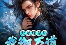 天龙珠拿后，我御万道吞四海江尘完结小说推荐，天龙珠拿后，我御万道吞四海全章小说阅读-阳光书屋