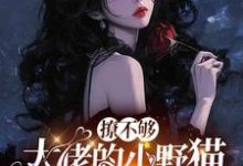 (全文)撩不够，大佬的小野猫又欲又嚣张（陆晨矅）试读更新章节撩不够，大佬的小野猫又欲又嚣张免费小说-阳光书屋