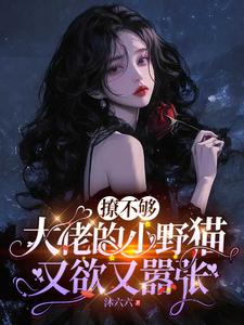 撩不够，大佬的小野猫又欲又嚣张推荐完结小说撩不够，大佬的小野猫又欲又嚣张(陆晨矅)免费小说全本