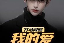 竹马降临，我的爱瞬间扫地（江书正）全章小说阅读-阳光书屋