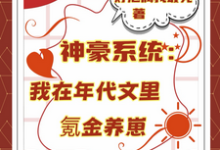 神豪系统：我在年代文里氪金养崽完整版小说，神豪系统：我在年代文里氪金养崽叶晓琳全章小说阅读-阳光书屋