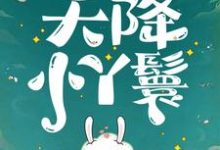 (全文)天降小丫鬟热门小说排行榜，天降小丫鬟夏夏全章小说阅读-阳光书屋