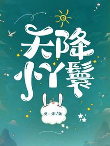 (全文)天降小丫鬟(夏夏)全本免费在线阅读