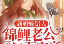 新婚嫁错人，锦鲤老公竟是亿万富豪安浅热门小说排行榜新婚嫁错人，锦鲤老公竟是亿万富豪免费小说-阳光书屋