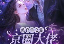 薰衣草之恋，京圈大佬暗恋我宁清灵完结小说推荐薰衣草之恋，京圈大佬暗恋我全本书籍阅读-阳光书屋