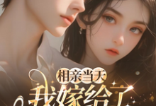 (全文)相亲当天，我嫁给了京都首富蓝冉全本免费在线阅读-阳光书屋