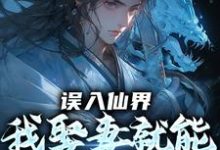 误入仙界,我娶妻就能天下无敌(许世安)全本书籍阅读误入仙界,我娶妻就能天下无敌完整版小说-阳光书屋
