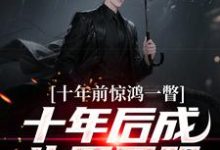 十年前惊鸿一瞥，十年后成生死同盟（李飞）全章小说阅读-阳光书屋