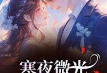 (全文)寒夜微光:她的逆袭人生袁小苔最新完结小说寒夜微光:她的逆袭人生免费阅读-阳光书屋