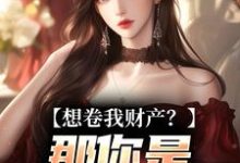 (全文)想卷我财产？那你是碰到铁板了(舒楹)全本免费在线阅读-阳光书屋