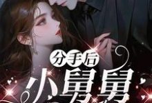 分手后,小舅舅夜夜洗床单(沈锦悦)全本书籍阅读分手后,小舅舅夜夜洗床单完整版小说-阳光书屋