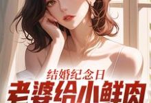 结婚纪念日，老婆给小鲜肉打榜应援最新章节阅读结婚纪念日，老婆给小鲜肉打榜应援(叶一帆)试读更新章节-阳光书屋