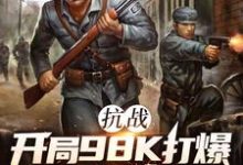 抗战：开局98K打爆大佐狗头完整版小说，抗战：开局98K打爆大佐狗头林平安全章小说阅读-阳光书屋