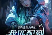 穿越星际后，我匹配到九个大冤种推荐完结小说穿越星际后，我匹配到九个大冤种(洛千)免费小说全本-阳光书屋
