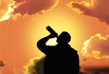 季星禾顾山海小说青春甜宠：C大物理大神在追我！章节免费阅读-阳光书屋