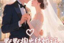 默默掏出结婚证，我的老公好奶宋禧免费小说默默掏出结婚证，我的老公好奶推荐完结小说-阳光书屋