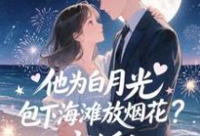 (全文)他为白月光包下海滩放烟花?离婚!(霍宴州云初)全本免费在线阅读-阳光书屋