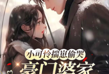 小可怜揣崽偷哭,豪门婆家来团宠热门小说排行榜小可怜揣崽偷哭,豪门婆家来团宠苏念念免费小说全本-阳光书屋