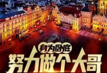 身为卧底，努力做个大哥不过分吧热门小说排行榜身为卧底，努力做个大哥不过分吧白舟免费小说全本-阳光书屋